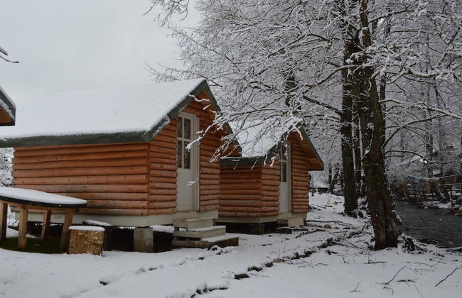 Farma Sotira - Foto 69