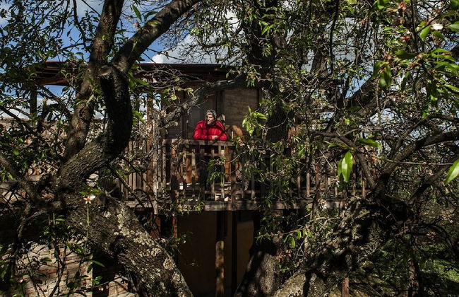 Agriturismo Via del Campo - Foto 38