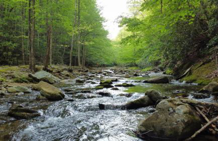 Natures Calling - Powder Horn - Foto 8