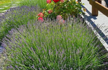 La Maison. Il Nido dell'Aquila - Photo 14