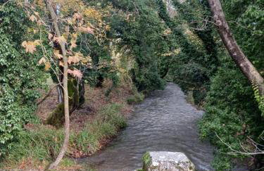 Village perfume - Photo 49