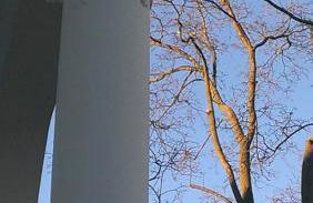 Haus am See - Photo 48