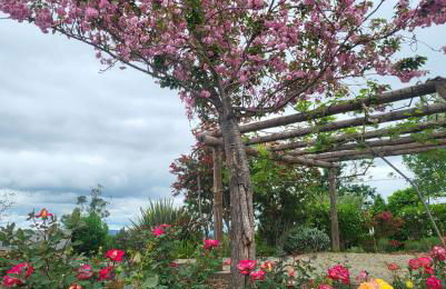 Coja Mountain Perch - Foto 36