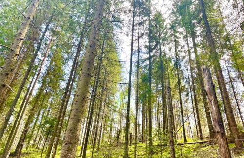 Świętokrzyskie Zacisze - Foto 19