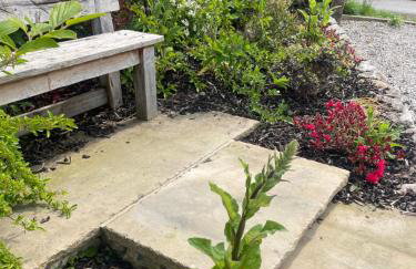 Church Barn - Private barn perfect for 2 guests stunning location - Photo 10