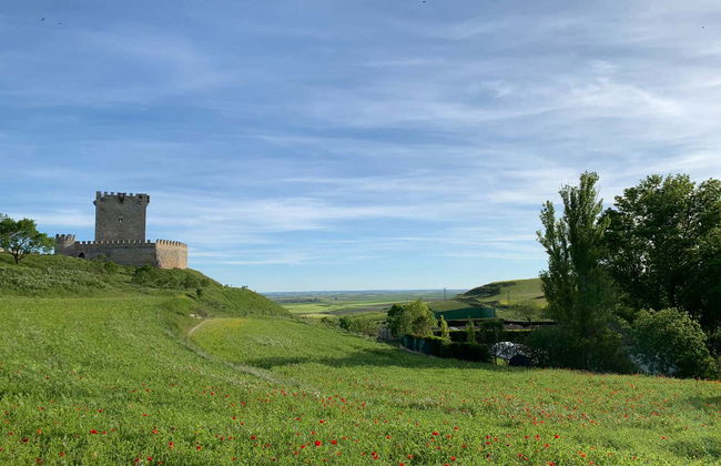 Biglietti per il castello di Tiedra - Foto 4