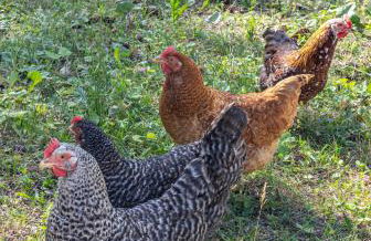 Apartements Precalalt - Foto 71