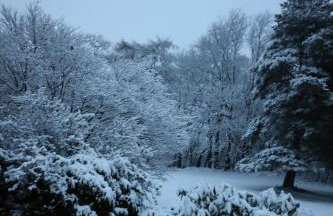 Bullclough loft - Photo 8