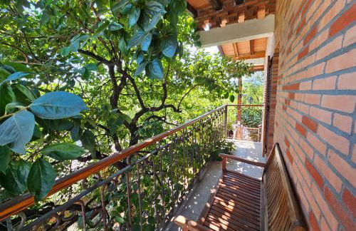 Agriturismo L'Urteia - Foto 29