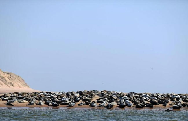 Beautiful House in Village, Newburgh, Ellon - Photo 17