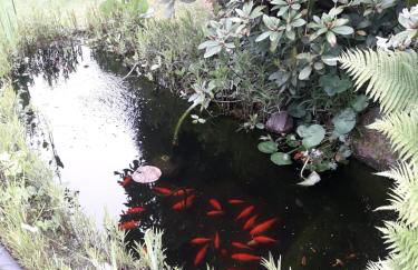 Ferienhaus am Langen See III - Foto 3