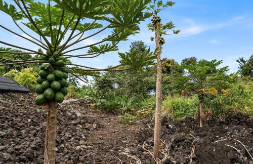 Hale Lio Kai - Foto 43