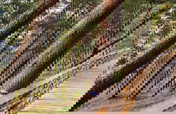 Rabarberi LV - SeaSide Village - Foto 45