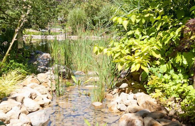 Exklusive Ferienzimmer Gut Heidefeld - Foto 29