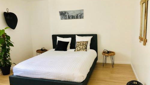 VILLA BIRDS - Foto 4