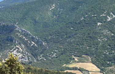 VILLA PROCHE VENTOUX et VAISON LA ROMAINE avec piscine privée - Foto 23