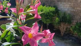 La Torre - Foto 3, Garden view