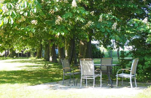 Gut-Rattelvitz-Parterre-A-hochwertig-Sauna-Kamin-eTankstelle-Spielscheune-15-000qm-Parkland - Foto 57