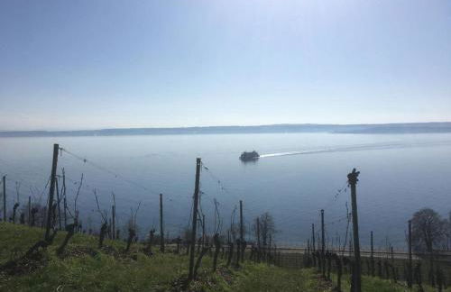 Ferienwohnungen Bohner/Wohnung Elisabeth - Foto 46