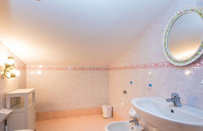 Rosa+Margherita+Lavanda+Ginestra+Gelsomi - Foto 34