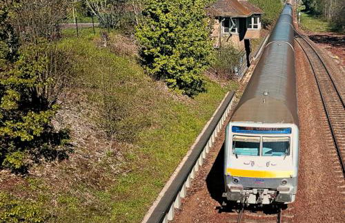 Parkvilla Bad Lausick - Foto 6