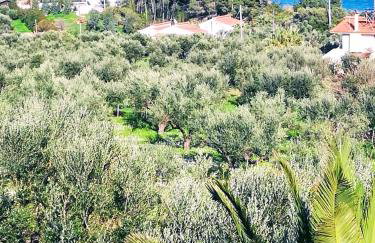 Villa Mariana - Foto 49