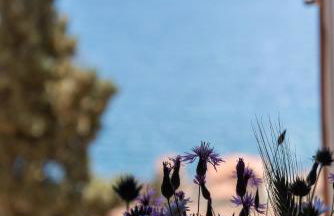 Kyklamino Castlehouse - Foto 11