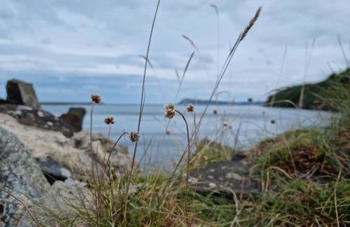 Willow Lodge, Wolfscastle - Foto 42