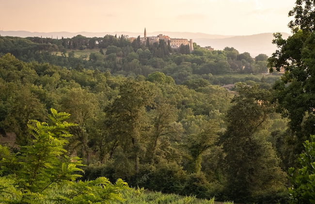 Agriturismo Le Cerque - Foto 54