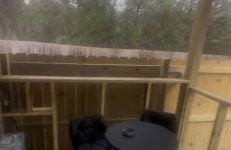 Alaynah's Place - Foto 10