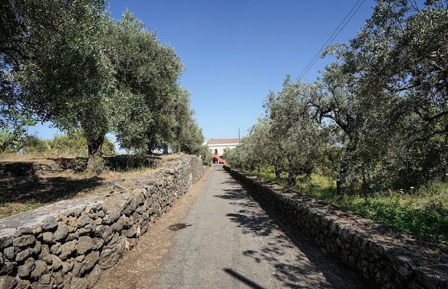 Il Sentiero degli Ulivi - Foto 48