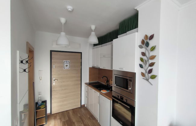 One room apartment - Foto 25