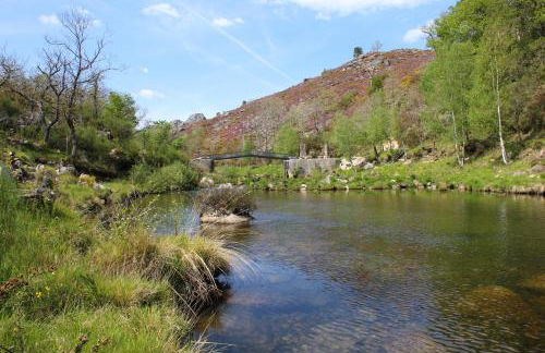 Casa Boletus - Foto 80