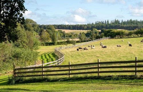 Marcassie Farm Lodges - Oak Studio - Accessible - Foto 13