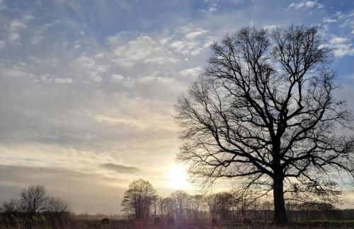 Märchenhaft urlauben auf dem Alpakahof - Foto 45