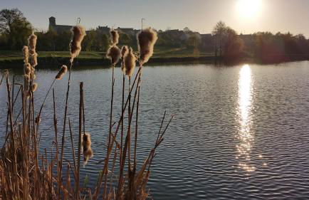 Chalet le Bass - Foto 30