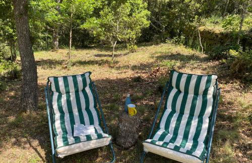 RIBES - Chalet Gîte au coeur de la nature - Foto 17