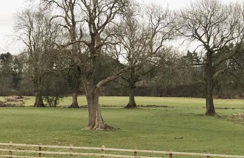 Chic 2 Bed Near Alton Towers, Polar Bears, Peak District - Foto 9