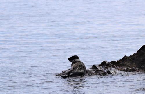 7 Bed in Campbeltown 83009 - Foto 32