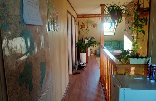 Agroturystyka u Basi śniadanie wliczone w cenie - Foto 9