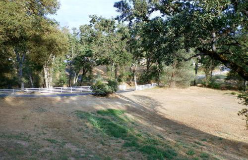 NEW CHARMING 2 BEDROOMS UNIT CLOSE TO EVERYTHING - Foto 25