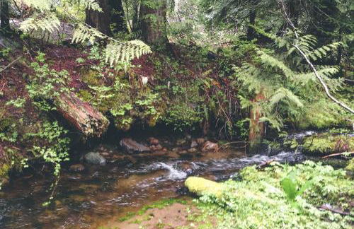 Marshall Cabin - Meredith Lodging - Foto 35