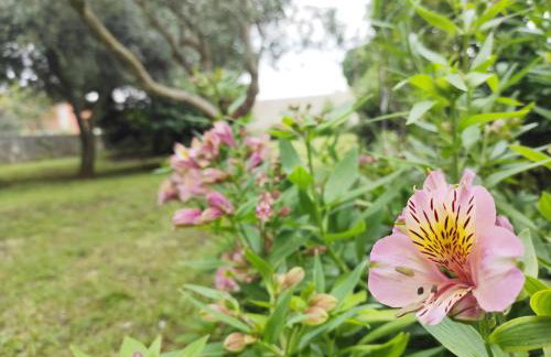 Apartment Ivy - Foto 26