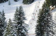 FeWo Allgäuzeit mit WLAN Oberstaufen Steibis - Foto 30