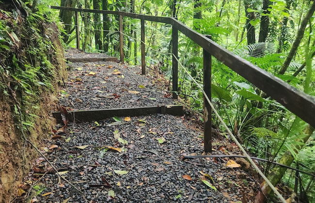 Cabañas Caeli Rainforest Glass Cabin La Perezosa La Fortuna - Foto 36