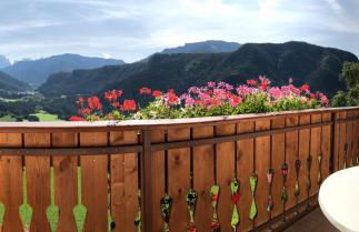 Nature Residence Telfnerhof - Photo 20