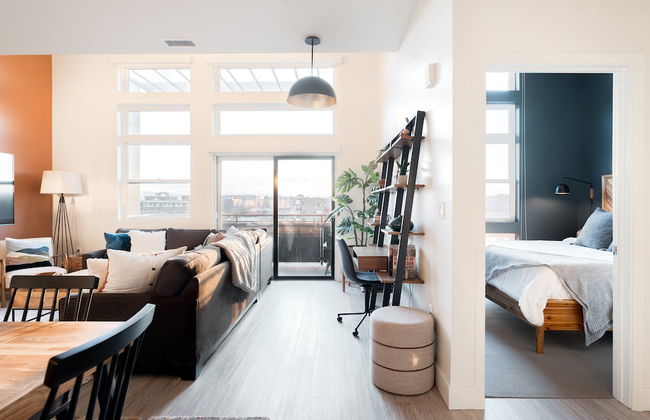 Bold & Elevated | Espadin LoHi - Foto 7