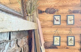 Blufftop Cabin Retreat Hot Tub and Fall Views! - Foto 13