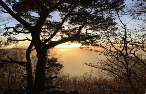 Hirtenrasen 52A - Photo 39