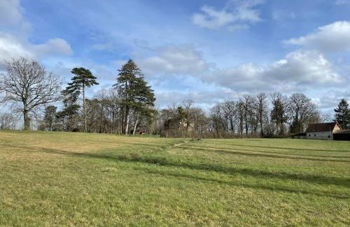 Gite de Fleur - Chateau du Grand Luçay - Foto 26